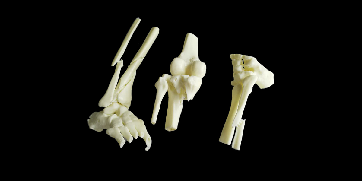 醫療器械 醫療器械